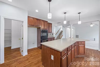 507 Ann Shaw Avenue, Fort Mill, SC 29708 - Photo 13