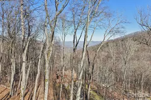 102 Iga Trl, Maggie Valley, NC 28751 - Photo 17