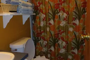 2157 Ross Cauthen Rd, Lancaster, SC 29720 - Photo 15