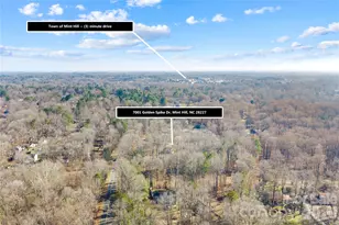 7001 Golden Spike Dr, Mint Hill, NC 28227 - Photo 11