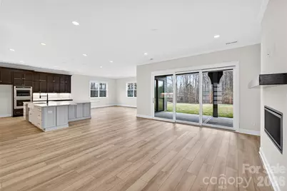 14008 Roosevelt Grove Drive, Huntersville, NC 28078 - Photo 3