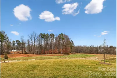 14008 Roosevelt Grove Drive, Huntersville, NC 28078 - Photo 29