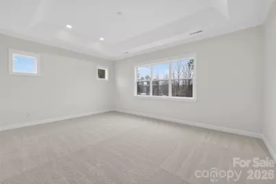 14008 Roosevelt Grove Drive, Huntersville, NC 28078 - Photo 17