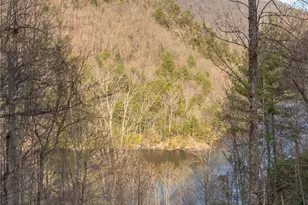 100 Saddle Notch Ln, Tuckasegee, NC 28783 - Photo 29