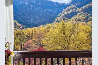 712 Main Street, Chimney Rock, NC 28720 - Photo 5