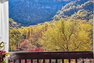 712 Main St, Chimney Rock, NC 28720 - Photo 5