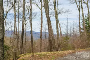 Lot 2 Heritage Ridge Loop, Burnsville, NC 28714 - Photo 7
