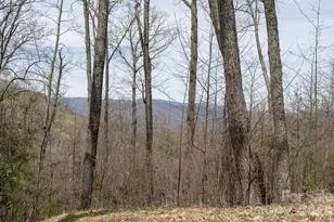 Lot 2 Heritage Ridge Loop, Burnsville, NC 28714 - Photo 11