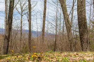 Lot 2 Heritage Ridge Loop, Burnsville, NC 28714 - Photo 3