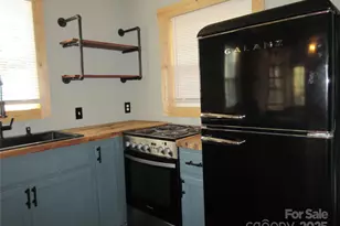 30 Rainbow Lake Cir, Black Mountain, NC 28711 - Photo 15