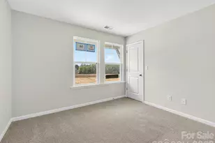 250 Alluvium Ln, Waxhaw, NC 28173 - Photo 23