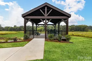 250 Alluvium Ln, Waxhaw, NC 28173 - Photo 3