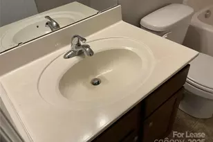 5830 Langwell Ln, Charlotte, NC 28278 - Photo 19