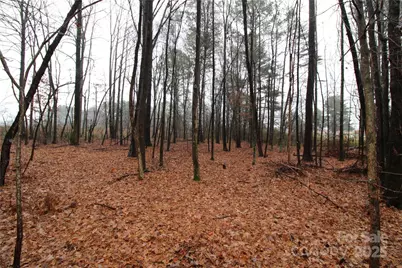 7.10+/-Ac Bess Road #LOT K, Bessemer City, NC 28016 - Photo 5