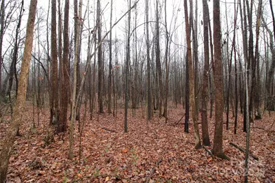 7.10+/-Ac Bess Road #LOT K, Bessemer City, NC 28016 - Photo 3