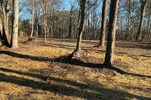 702 Mullinax Cir, Blacksburg, SC 29702 - Photo 3