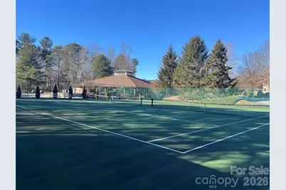 1002 Deermouse Way, Hendersonville, NC 28792 - Photo 39