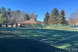 1002 Deermouse Way, Hendersonville, NC 28792 - Photo 39