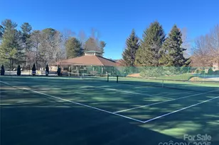 1002 Deermouse Way, Hendersonville, NC 28792 - Photo 39