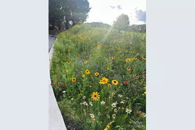 213 Sandy Creek Court, Hendersonville, NC 28792 - Photo 33