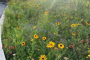 213 Sandy Creek Ct, Hendersonville, NC 28792 - Photo 33