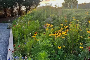 213 Sandy Creek Ct, Hendersonville, NC 28792 - Photo 31