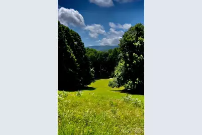 865 Frost Road, Saluda, NC 28773 - Photo 47