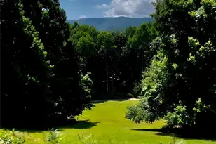 865 Frost Rd, Saluda, NC 28773 - Photo 47