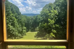 865 Frost Rd, Saluda, NC 28773 - Photo 45