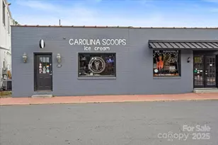 11410 Founders Park Ln, Pineville, NC 28134 - Photo 35