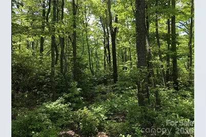 0 Millard Crossing #15, Hendersonville, NC 28792 - Photo 1