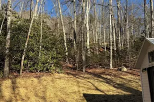 454 Sheepback Mountain Rd, Maggie Valley, NC 28751 - Photo 11