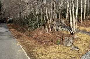 454 Sheepback Mountain Rd, Maggie Valley, NC 28751 - Photo 3