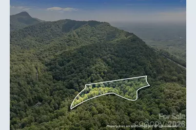 1 Rixhaven Drive, Saluda, NC 28773 - Photo 7