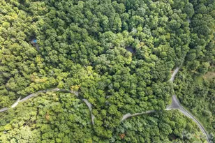 1 Rixhaven Dr, Saluda, NC 28773 - Photo 7