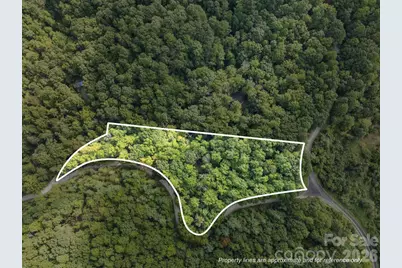 1 Rixhaven Drive, Saluda, NC 28773 - Photo 5