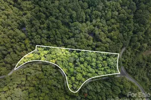 1 Rixhaven Dr, Saluda, NC 28773 - Photo 5