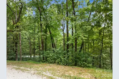 1 Rixhaven Drive, Saluda, NC 28773 - Photo 9