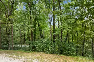 1 Rixhaven Dr, Saluda, NC 28773 - Photo 9