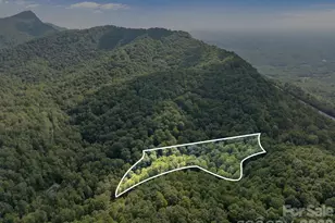 1 Rixhaven Dr, Saluda, NC 28773 - Photo 5