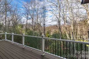 125 Buffalo Trail, Asheville, NC 28805 - Photo 17