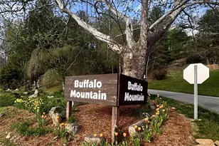 125 Buffalo Trail, Asheville, NC 28805 - Photo 11