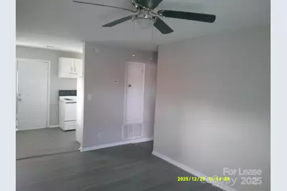 1219 County Home Road, Conover, NC 28613 - Photo 3