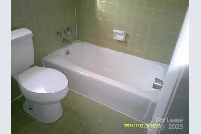 1219 County Home Road, Conover, NC 28613 - Photo 5