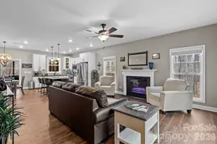 901 Wild Riv Run, Marshall, NC 28753 - Photo 3