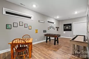 901 Wild Riv Run, Marshall, NC 28753 - Photo 21