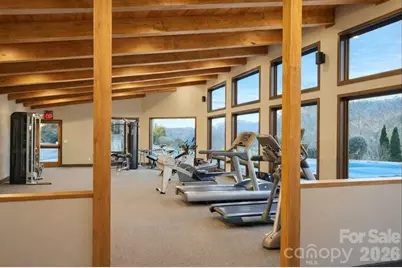 901 Wild River Run, Marshall, NC 28753 - Photo 33