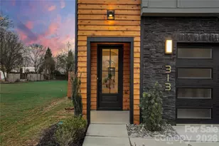 313 E Peterson Dr, Charlotte, NC 28217 - Photo 3