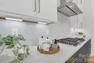 313 E Peterson Dr, Charlotte, NC 28217 - Photo 21