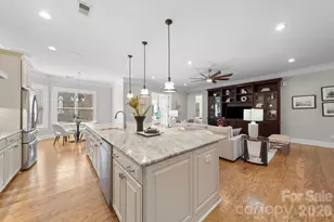 14817 High Bluff Ct, Charlotte, NC 28278 - Photo 13